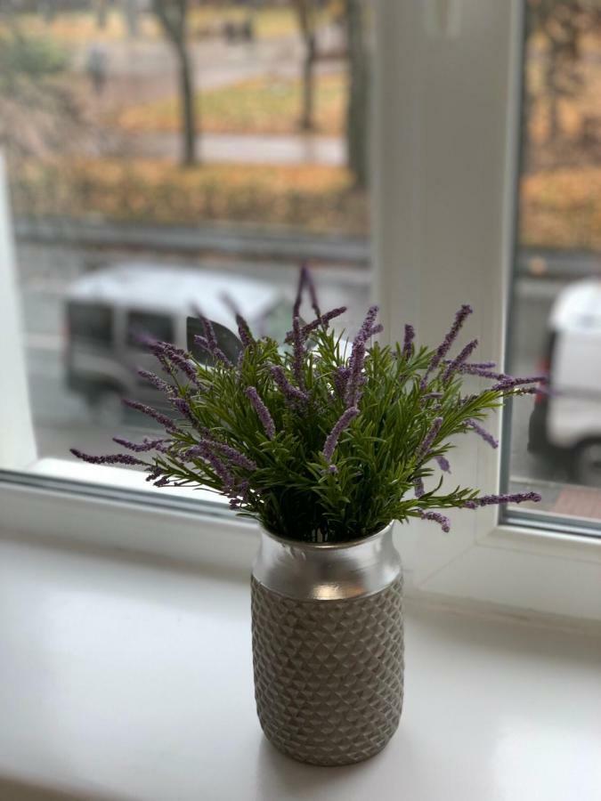 Sisters Apartment Ukr 切尔尼戈夫 外观 照片